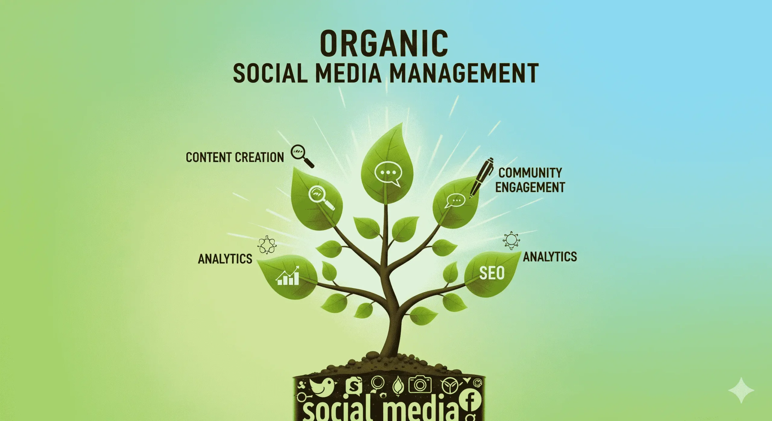 Organic Social Media Management